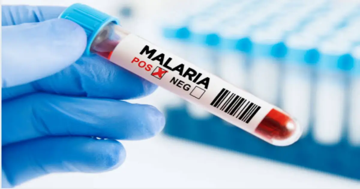 What is Malaria Disease